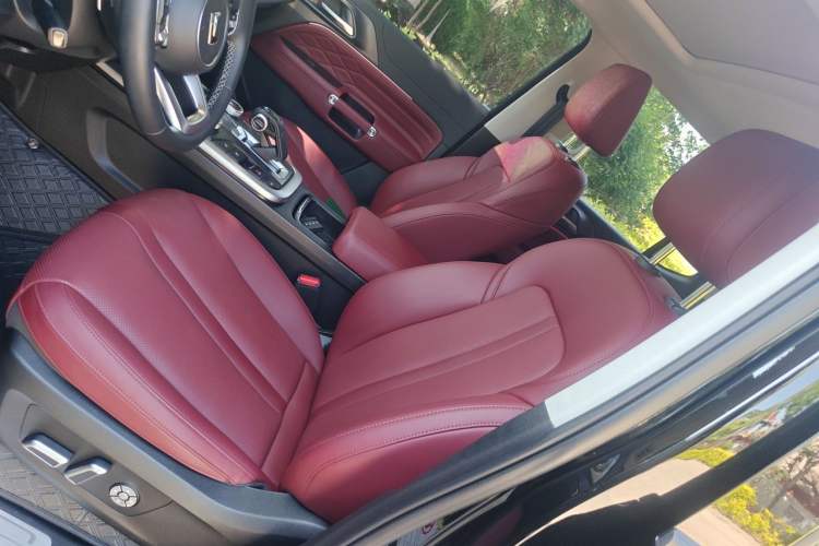 Used Tank 300 2024 2.0T Conqueror Left Front Seat