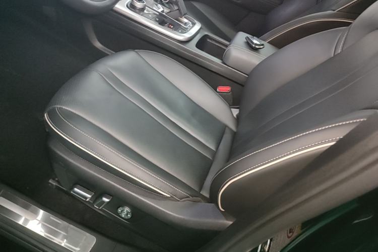 Used Tank 300 2024 2.0T Conqueror Left Front Seat