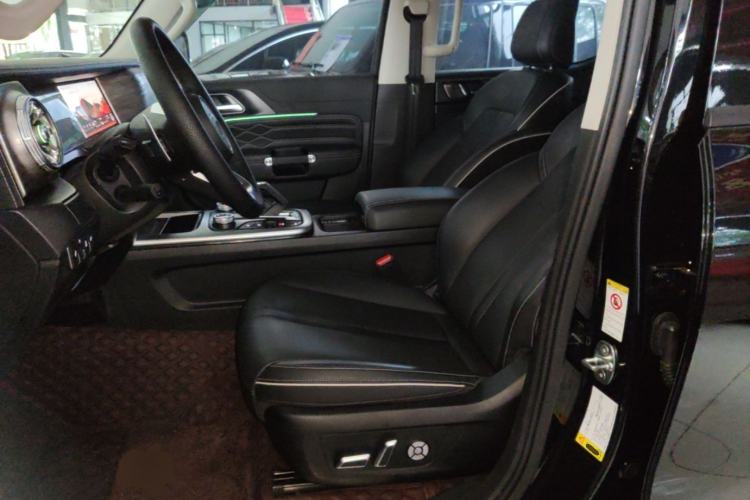 Used Tank 300 2024 2.0T Conqueror Left Front Seat