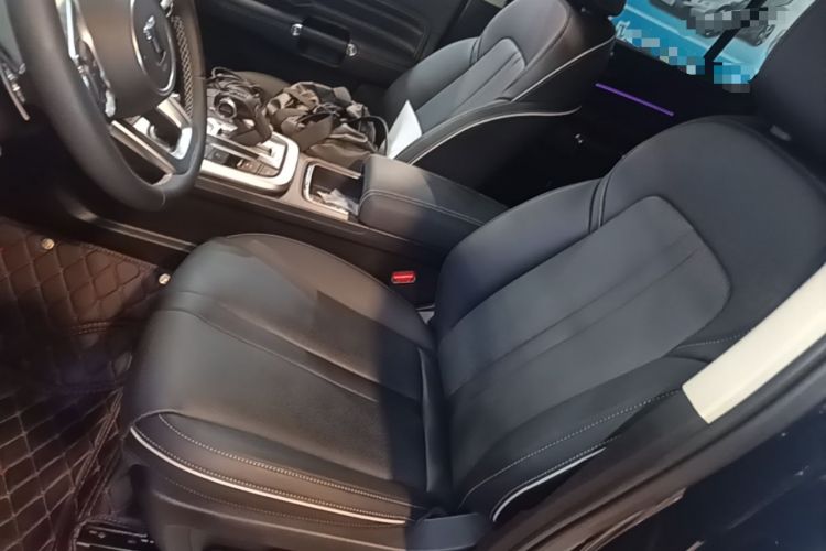 Used Tank 300 2024 2.0T Conqueror Left Front Seat