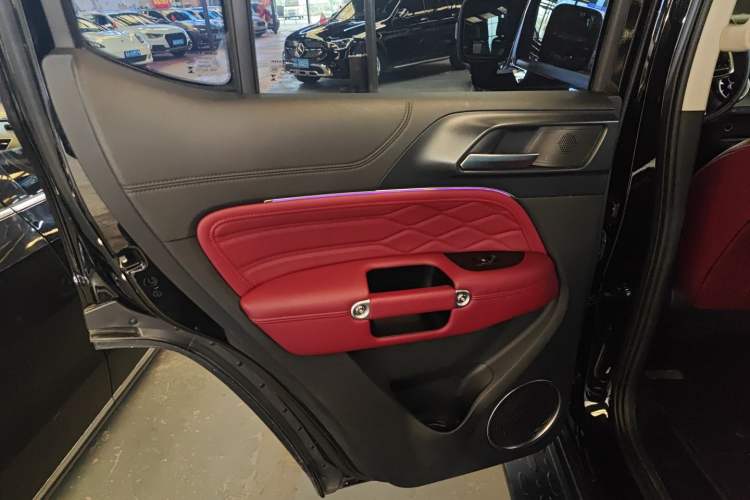 Used Tank 300 2024 2.0T Challenger Left Rear Door Interior