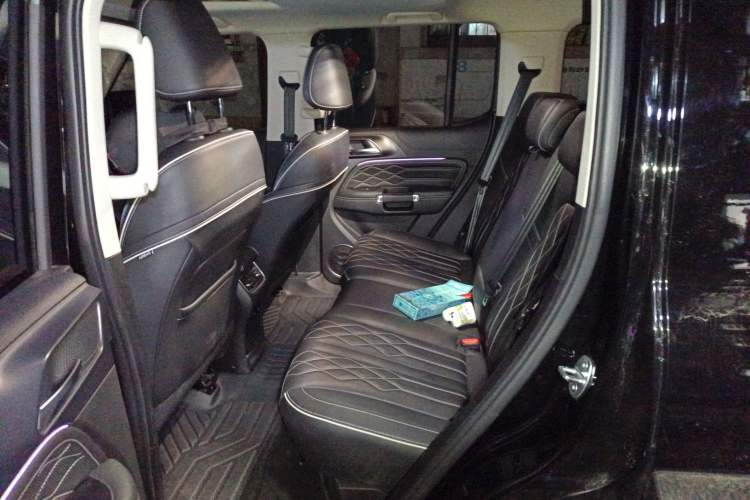 Used Tank 300 2024 2.0T Challenger Left Rear Seat