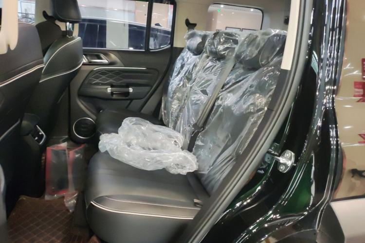 Used Tank 300 2024 2.0T Conqueror Left Rear Seat