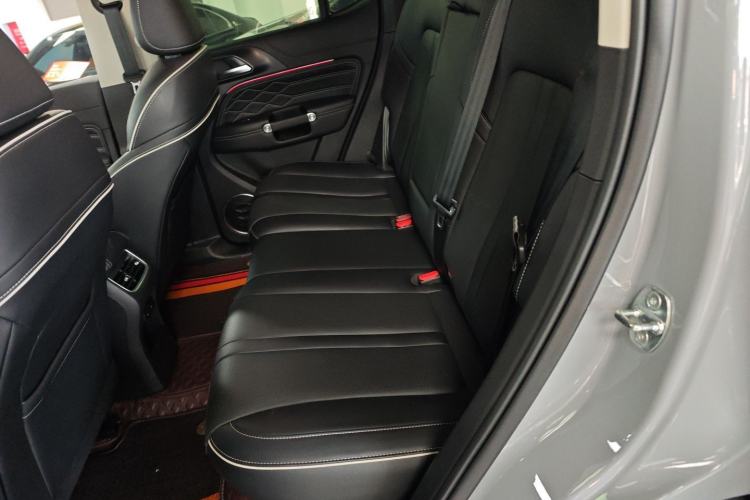 Used Tank 300 2024 2.0T Conqueror Left Rear Seat