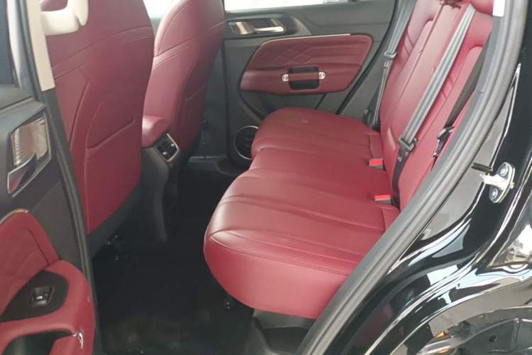 Used Tank 300 2024 2.0T Conqueror Left Rear Seat