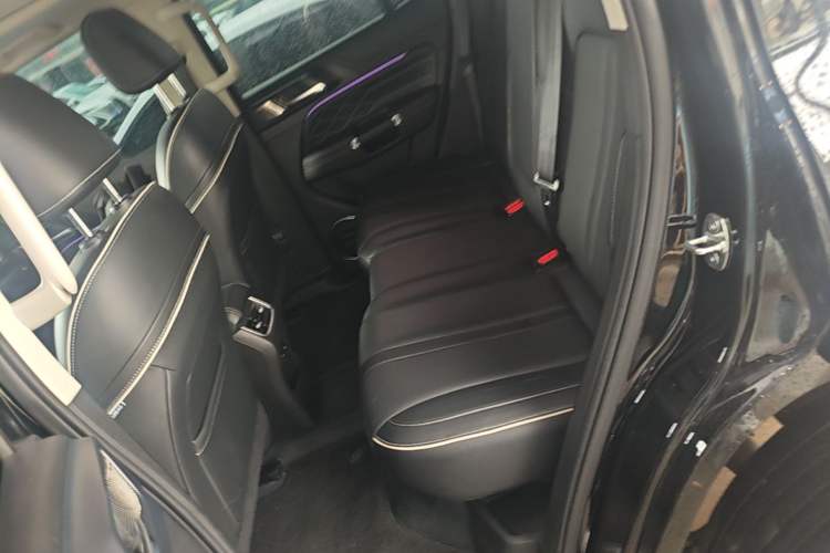 Used Tank 300 2024 2.0T Conqueror Left Rear Seat