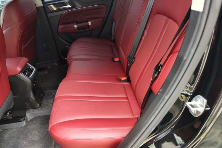 Used Tank 300 2024 2.0T Conqueror Left Rear Seat