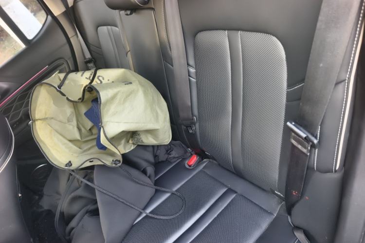 Used Tank 300 2024 2.0T Conqueror Left Rear Seat