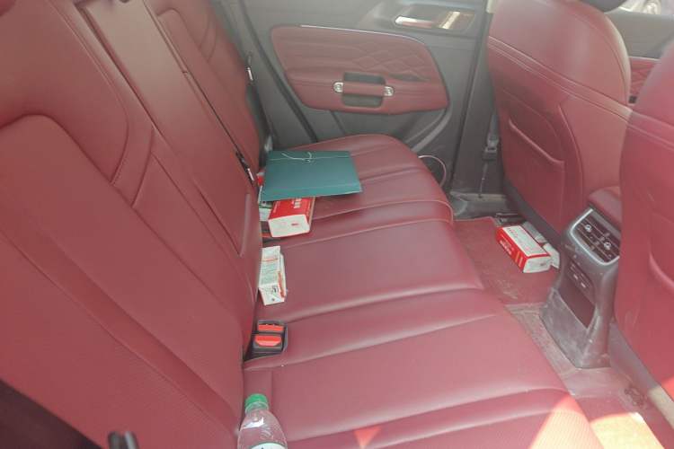 Used Tank 300 2024 2.0T Conqueror Left Rear Seat