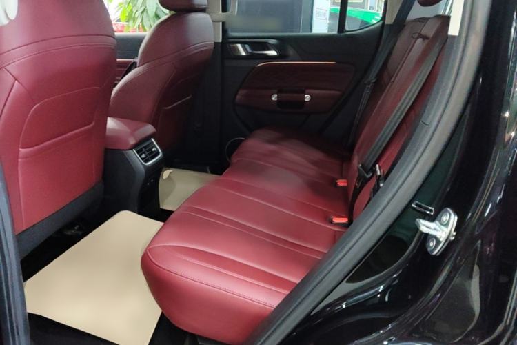 Used Tank 300 2024 2.0T Conqueror Left Rear Seat
