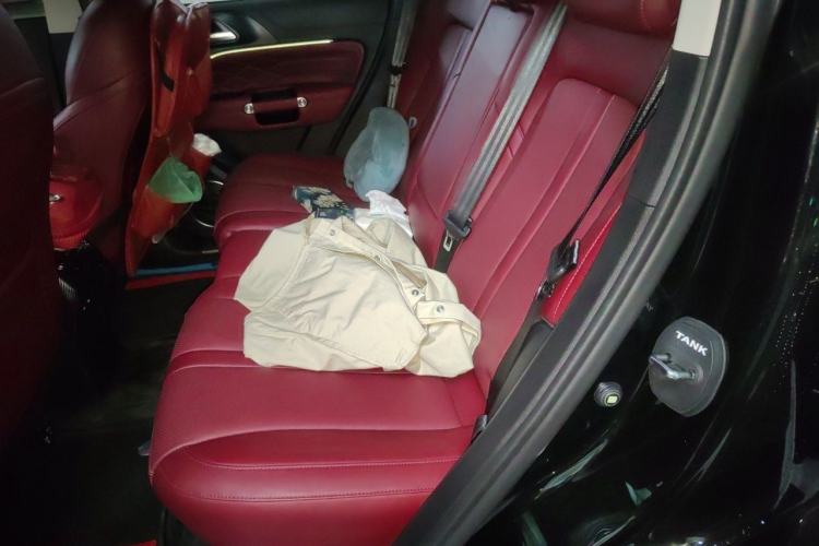 Used Tank 300 2024 2.0T Conqueror Left Rear Seat