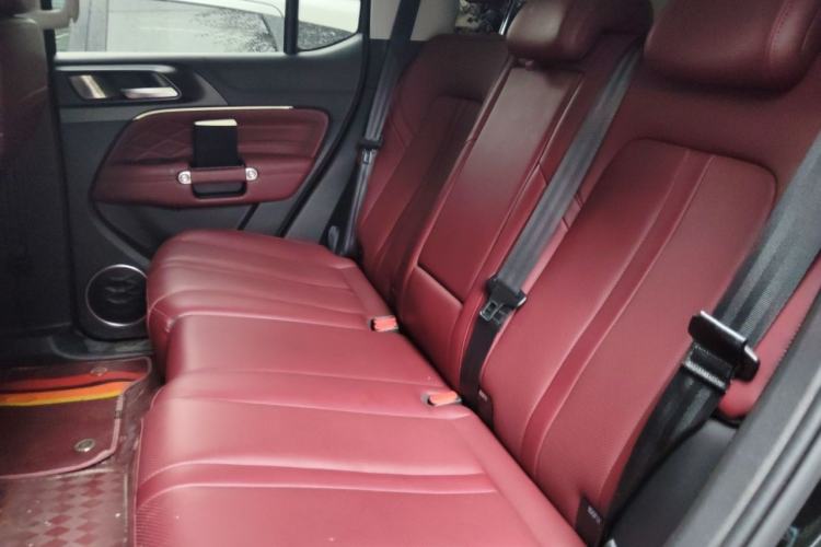 Used Tank 300 2024 2.0T Conqueror Left Rear Seat