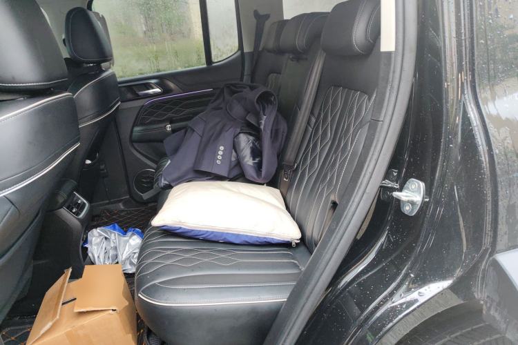 Used Tank 300 2024 2.0T Challenger Left Rear Seat