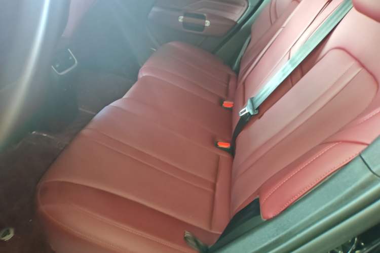 Used Tank 300 2024 2.0T Crosser Left Rear Seat