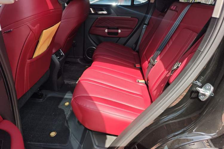 Used Tank 300 2024 2.0T Conqueror Left Rear Seat