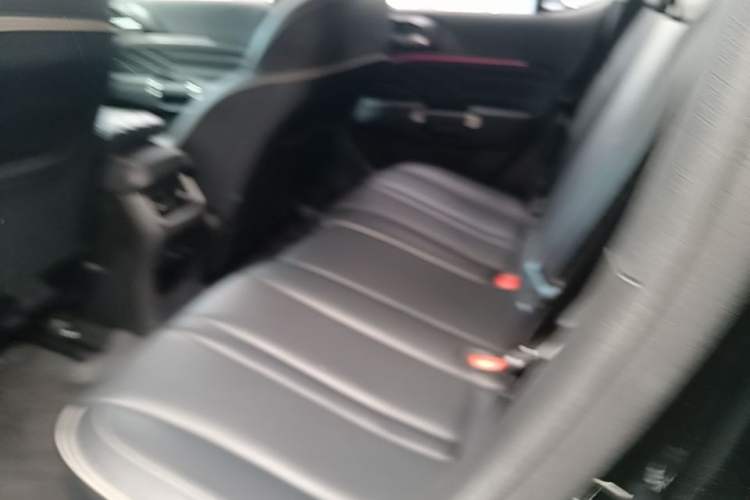 Used Tank 300 2024 2.0T Conqueror Left Rear Seat