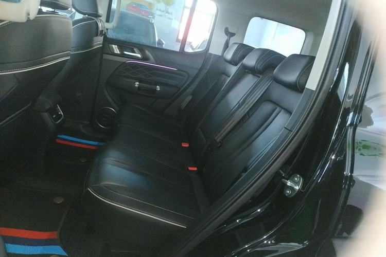 Used Tank 300 2024 2.0T Conqueror Left Rear Seat