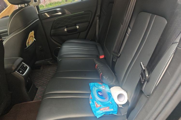 Used Tank 300 2024 2.0T Conqueror Left Rear Seat