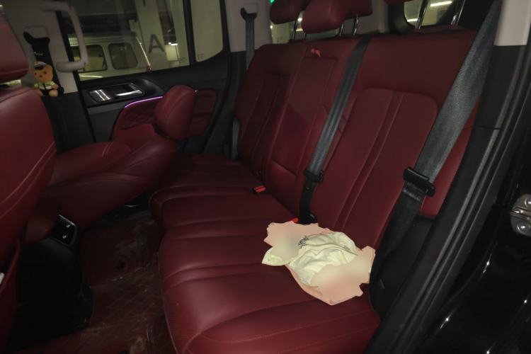 Used Tank 300 2024 2.0T Crosser Left Rear Seat