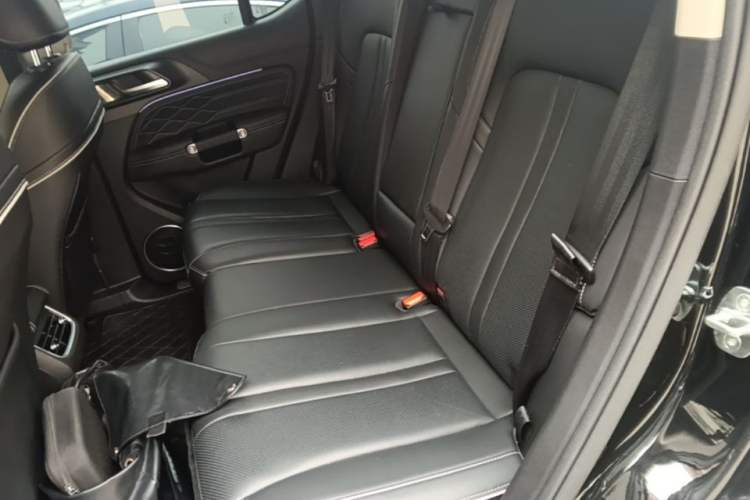 Used Tank 300 2024 2.0T Challenger Left Rear Seat