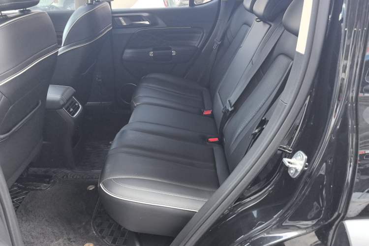 Used Tank 300 2024 2.0T Challenger Left Rear Seat