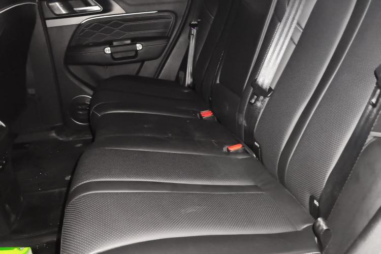 Used Tank 300 2024 2.0T Conqueror Left Rear Seat