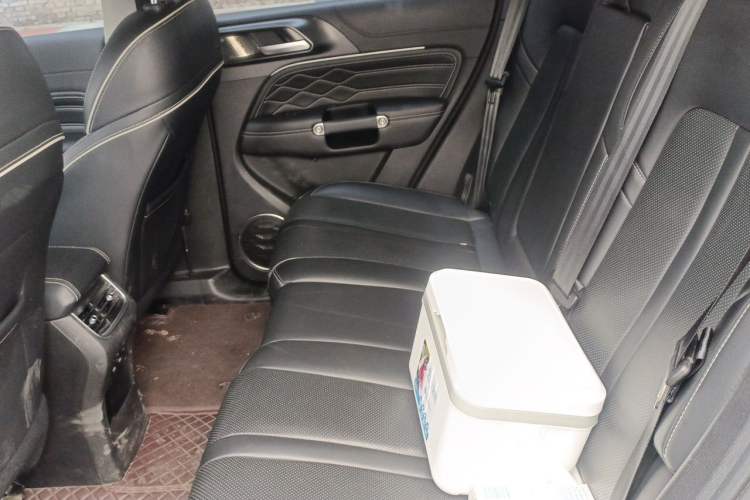 Used Tank 300 2024 2.0T Conqueror Left Rear Seat
