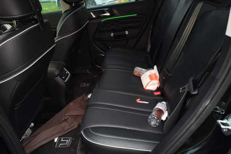 Used Tank 300 2024 2.0T Conqueror Left Rear Seat