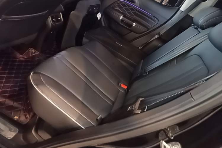 Used Tank 300 2024 2.0T Conqueror Left Rear Seat