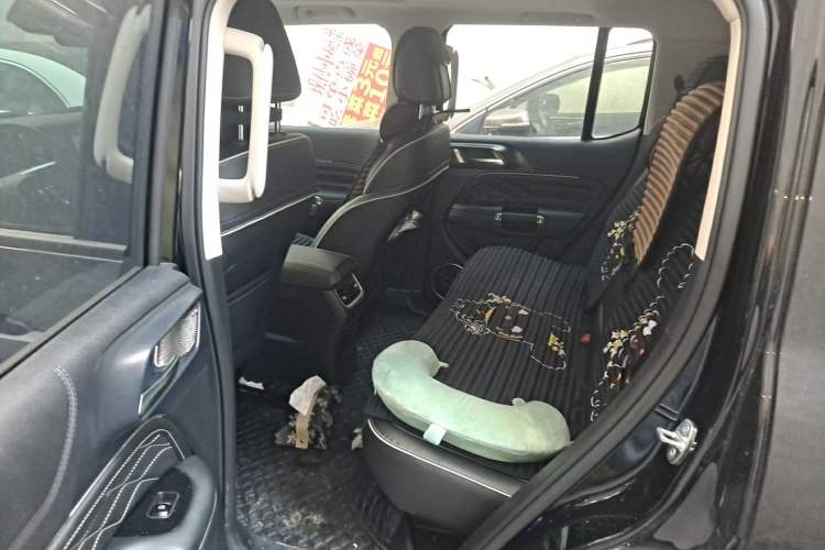 Used Tank 300 2024 2.0T Conqueror Left Rear Seat