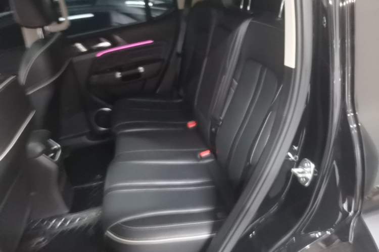 Used Tank 300 2024 2.0T Conqueror Left Rear Seat