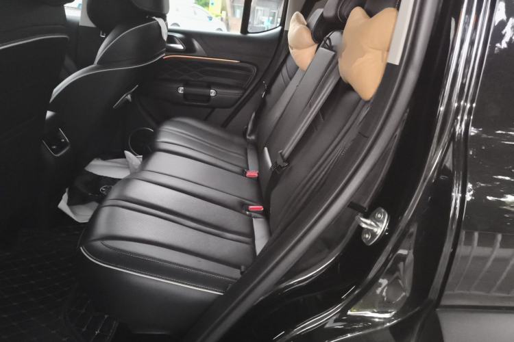 Used Tank 300 2024 2.0T Conqueror Left Rear Seat