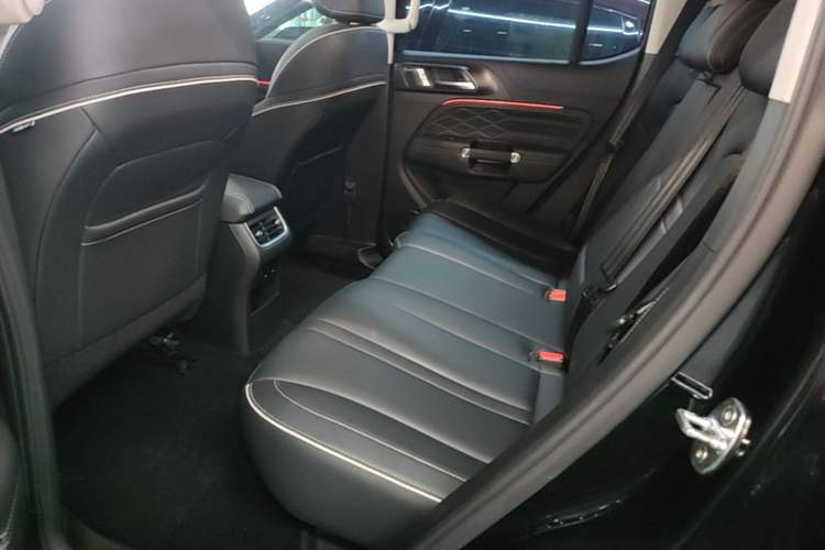Used Tank 300 2024 2.0T Conqueror Left Rear Seat