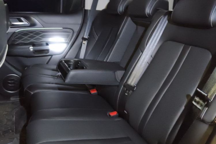 Used Tank 300 2024 2.0T Conqueror Left Rear Seat