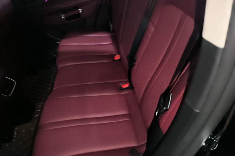 Used Tank 300 2024 2.0T Conqueror Left Rear Seat