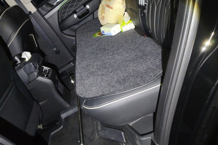 Used Tank 300 2024 2.0T Challenger Left Rear Seat