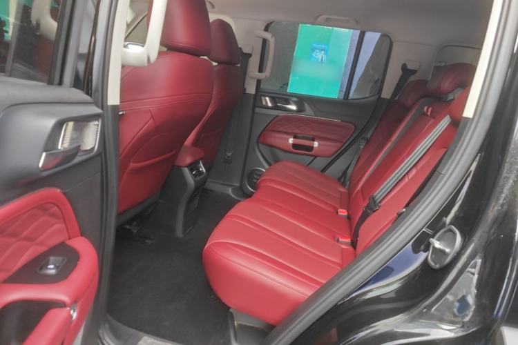 Used Tank 300 2024 2.0T Conqueror Left Rear Seat