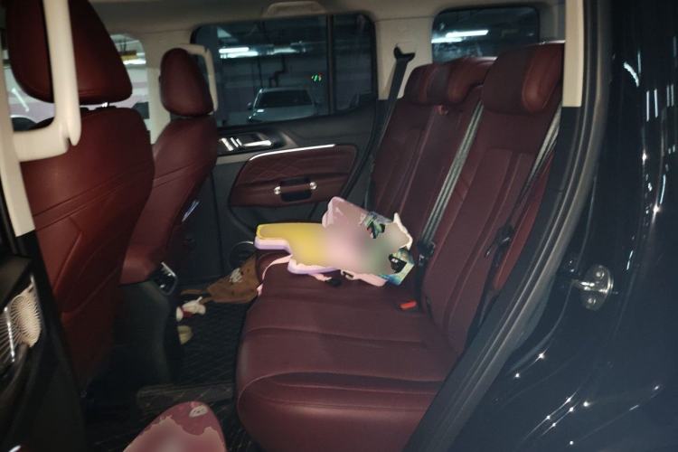 Used Tank 300 2024 2.0T Conqueror Left Rear Seat