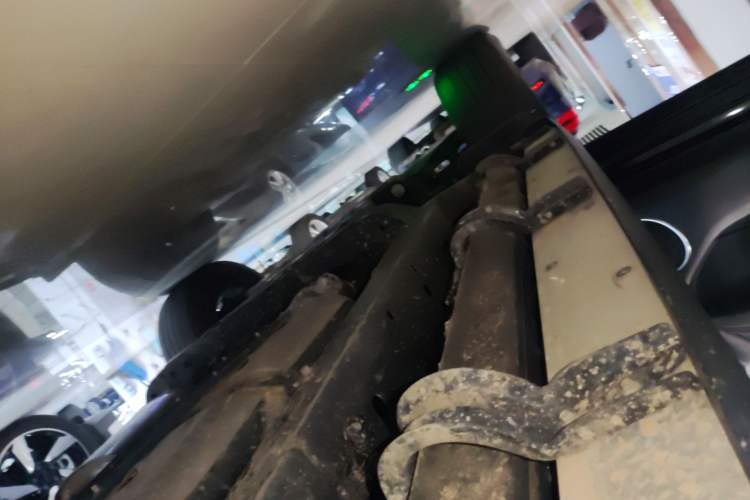 Used Tank 300 2024 2.0T Conqueror Left Side Sill