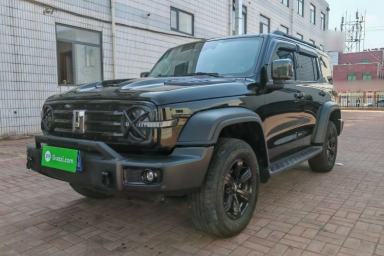 Used Tank 300 2024 2.0T Conqueror