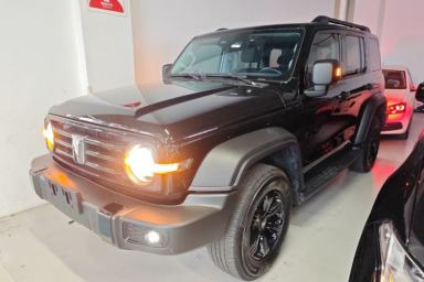 Used Tank 300 2024 2.0T Conqueror