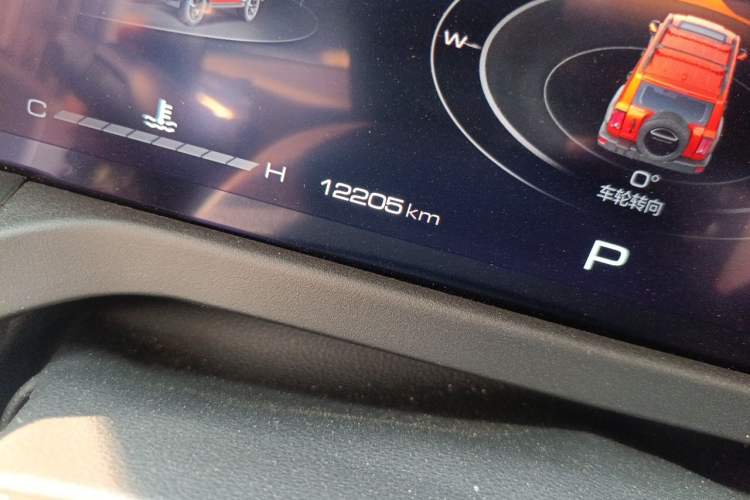 Used Tank 300 2024 2.0T Conqueror Odometer Close Up