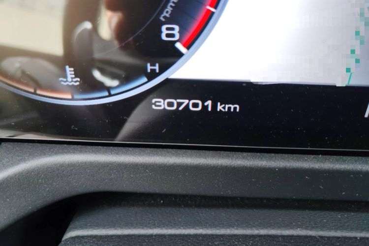 Used Tank 300 2024 2.0T Conqueror Odometer Close Up