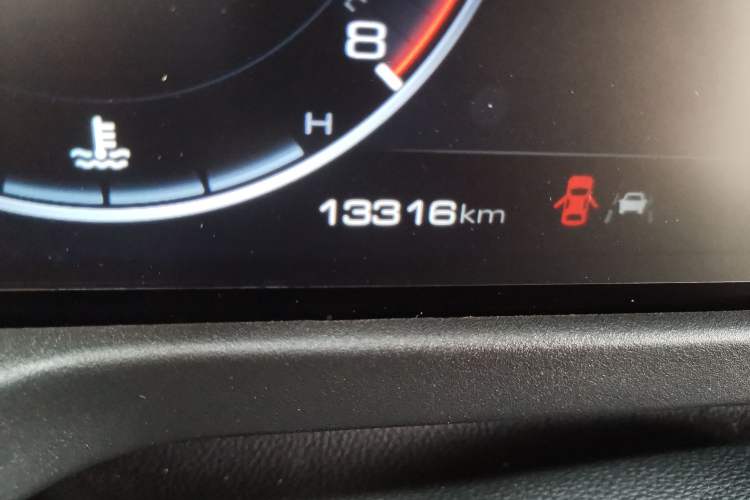 Used Tank 300 2024 2.0T Conqueror Odometer Close Up