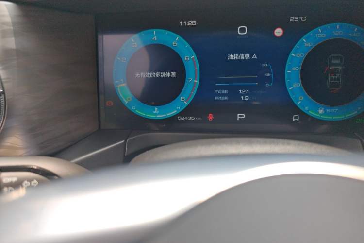 Used Tank 300 2024 2.0T Challenger Odometer Close Up