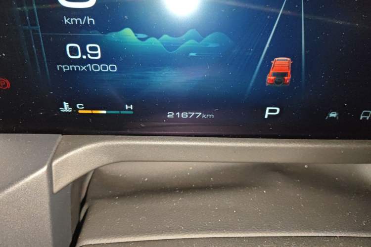 Used Tank 300 2024 2.0T Conqueror Odometer Close Up