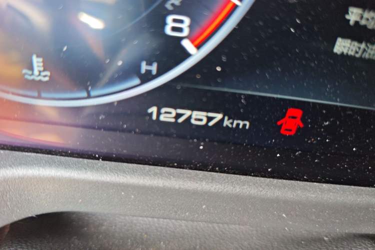 Used Tank 300 2024 2.0T Conqueror Odometer Close Up