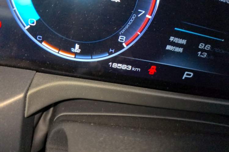 Used Tank 300 2024 2.0T Conqueror Odometer Close Up