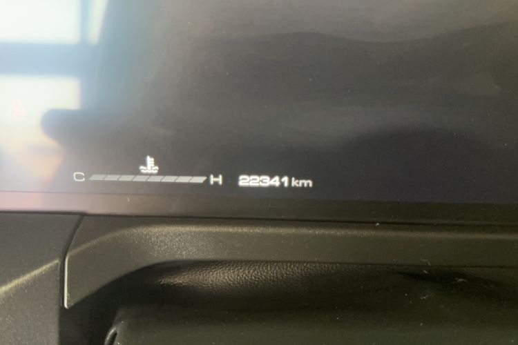 Used Tank 300 2024 2.0T Conqueror Odometer Close Up