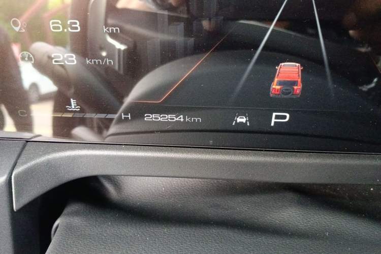 Used Tank 300 2024 2.0T Conqueror Odometer Close Up